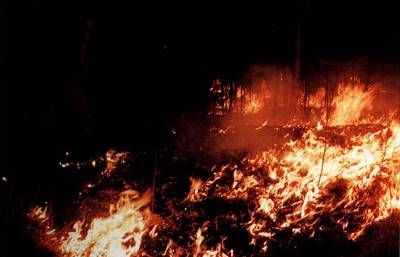 1987年：大兴安岭发生特大森林火灾