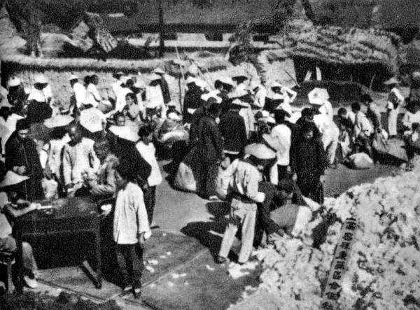 山东棉花丰收，图为高密县康家庄农民把棉花卖给合作社。1950年11月3日，贸易部明定棉量比价。